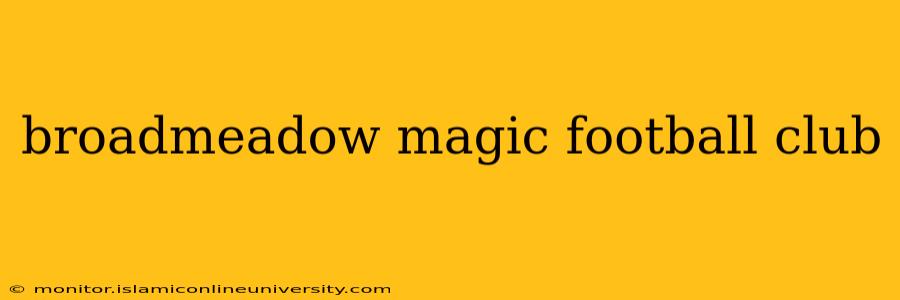 broadmeadow magic football club