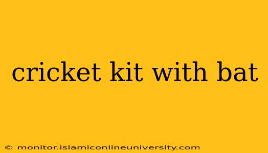 cricket kit with bat