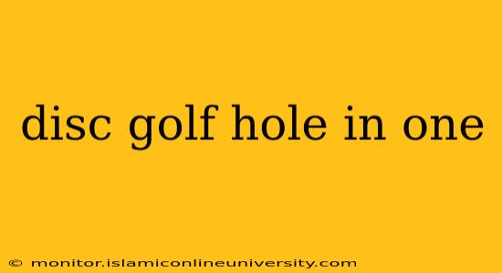 disc golf hole in one