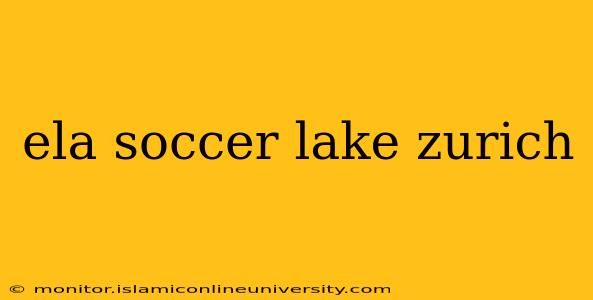 ela soccer lake zurich