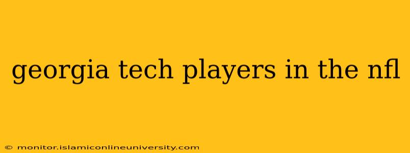 georgia tech players in the nfl