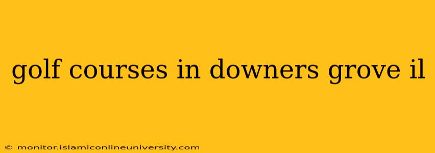 golf courses in downers grove il