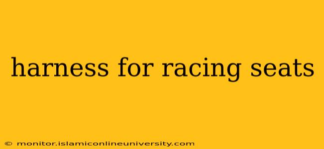 harness for racing seats