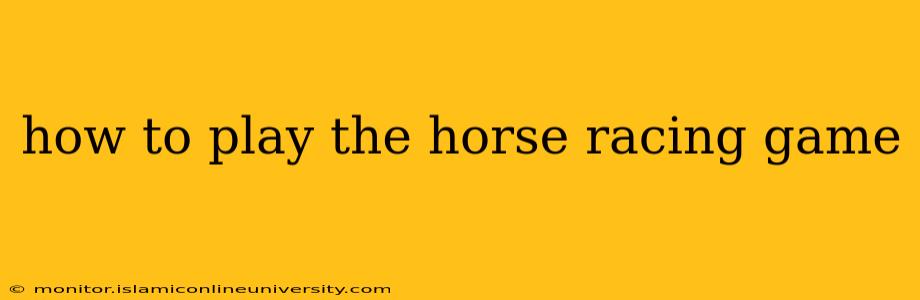 how to play the horse racing game