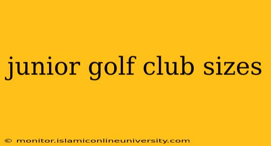 junior golf club sizes