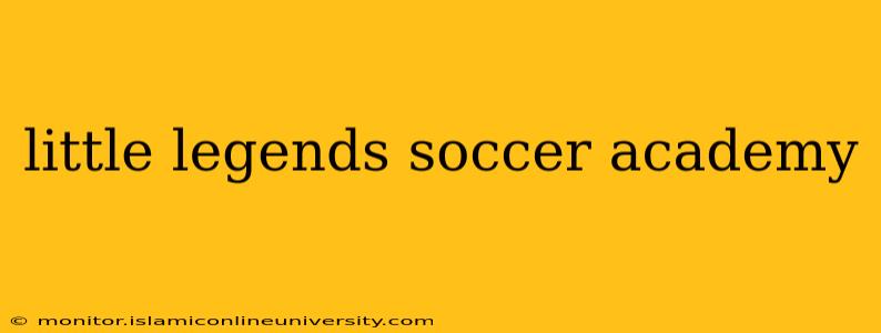 little legends soccer academy