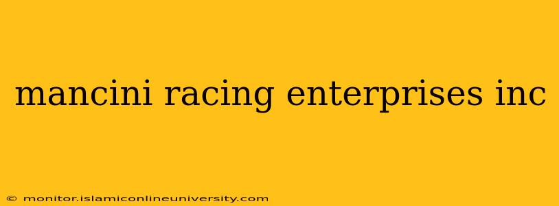 mancini racing enterprises inc