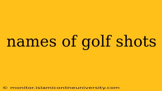 names of golf shots