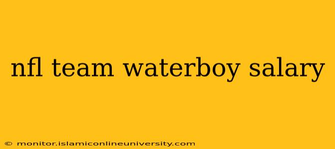 nfl team waterboy salary
