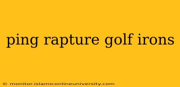 ping rapture golf irons
