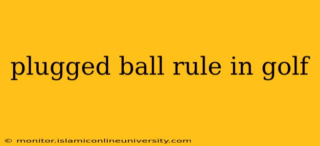 plugged ball rule in golf