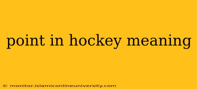 point in hockey meaning