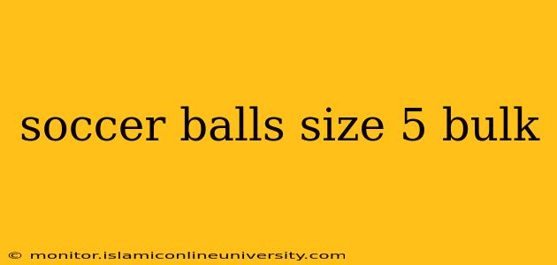 soccer balls size 5 bulk