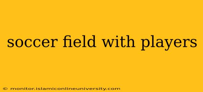 soccer field with players