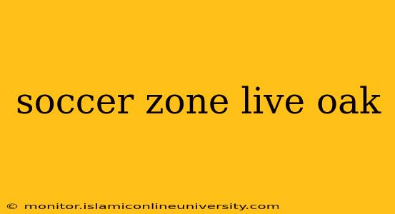 soccer zone live oak