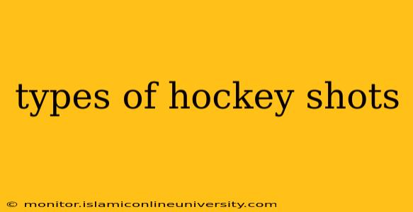 types of hockey shots