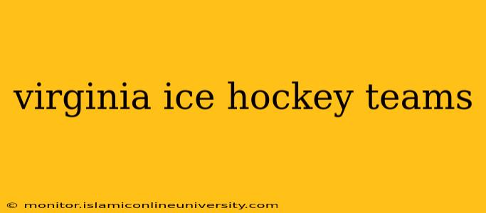 virginia ice hockey teams