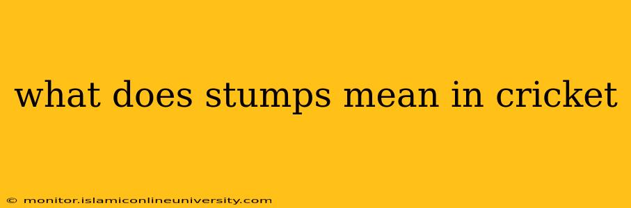 what does stumps mean in cricket