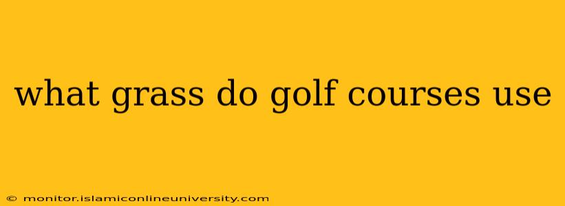 what grass do golf courses use